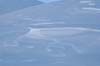 2004-12-30--10-21-50 Silvester 2004 - 063