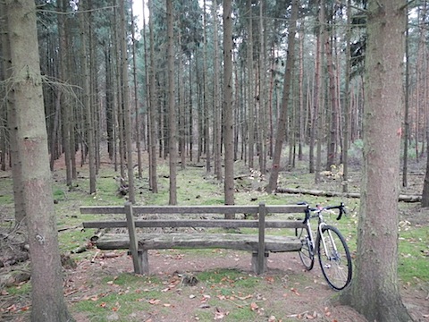 DSCN0234.JPG
